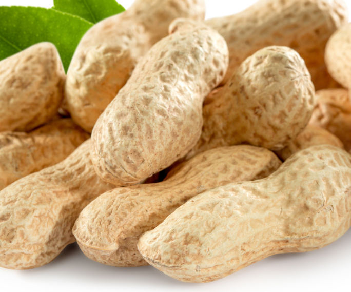 peanut