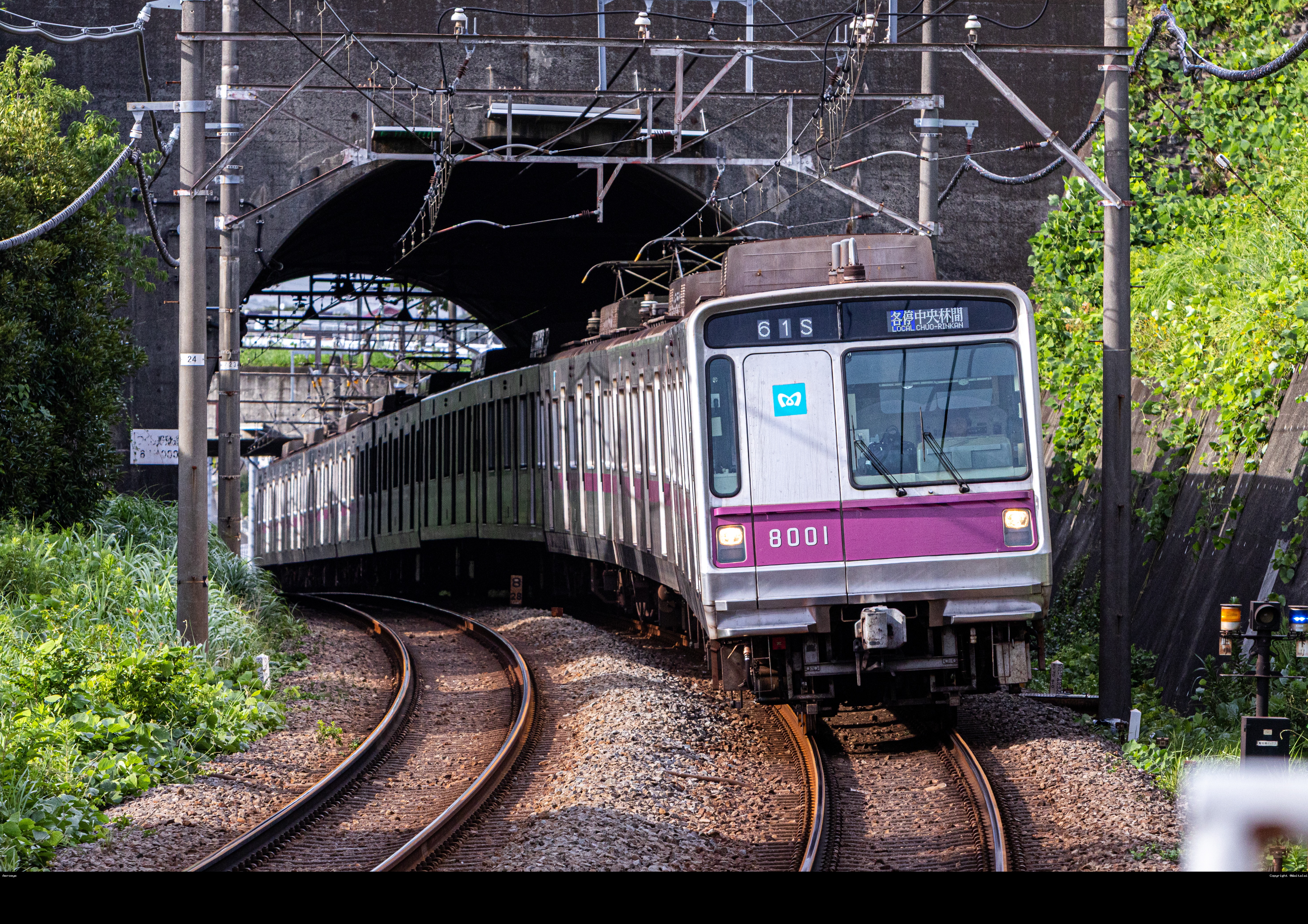 8001