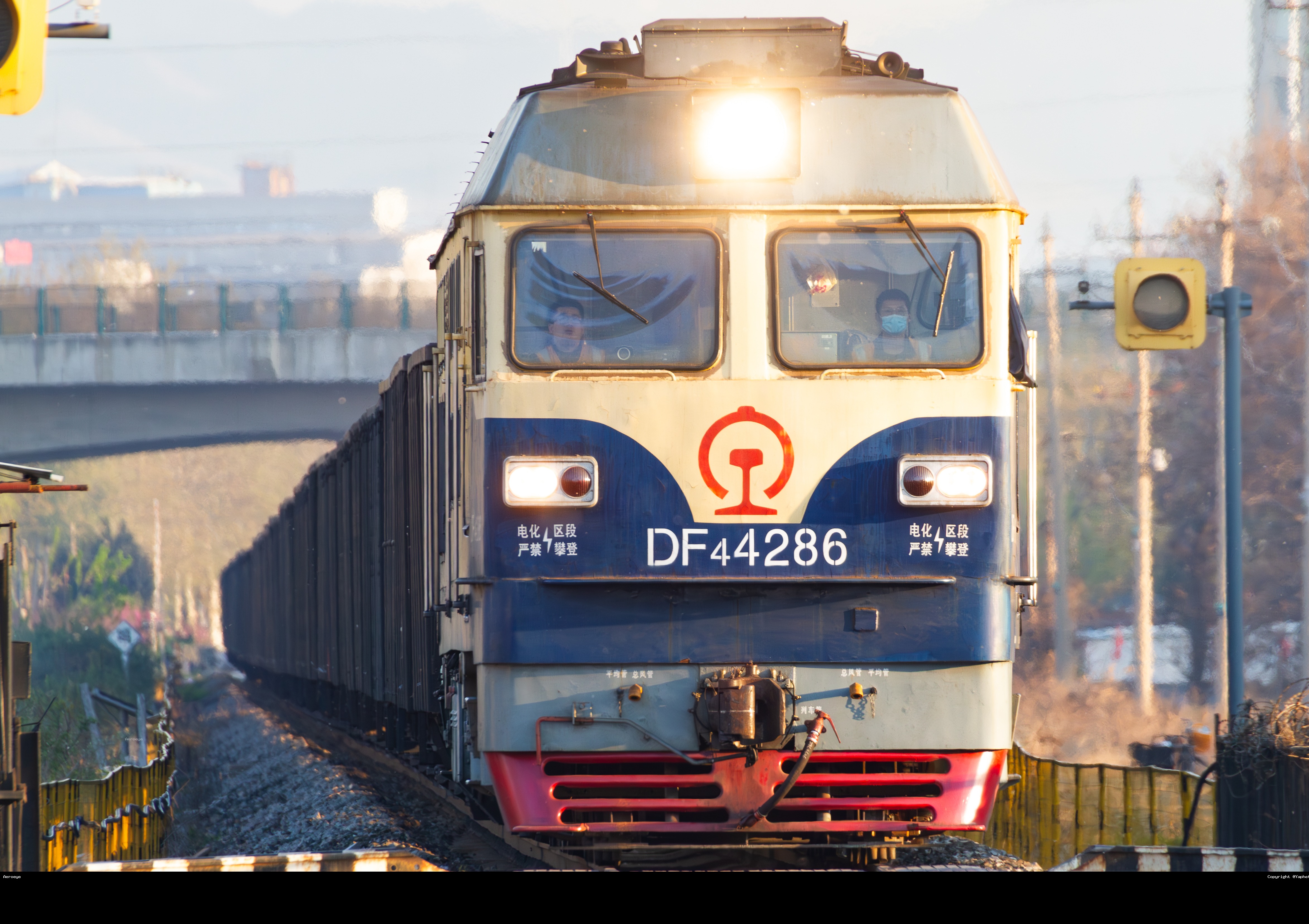 46044