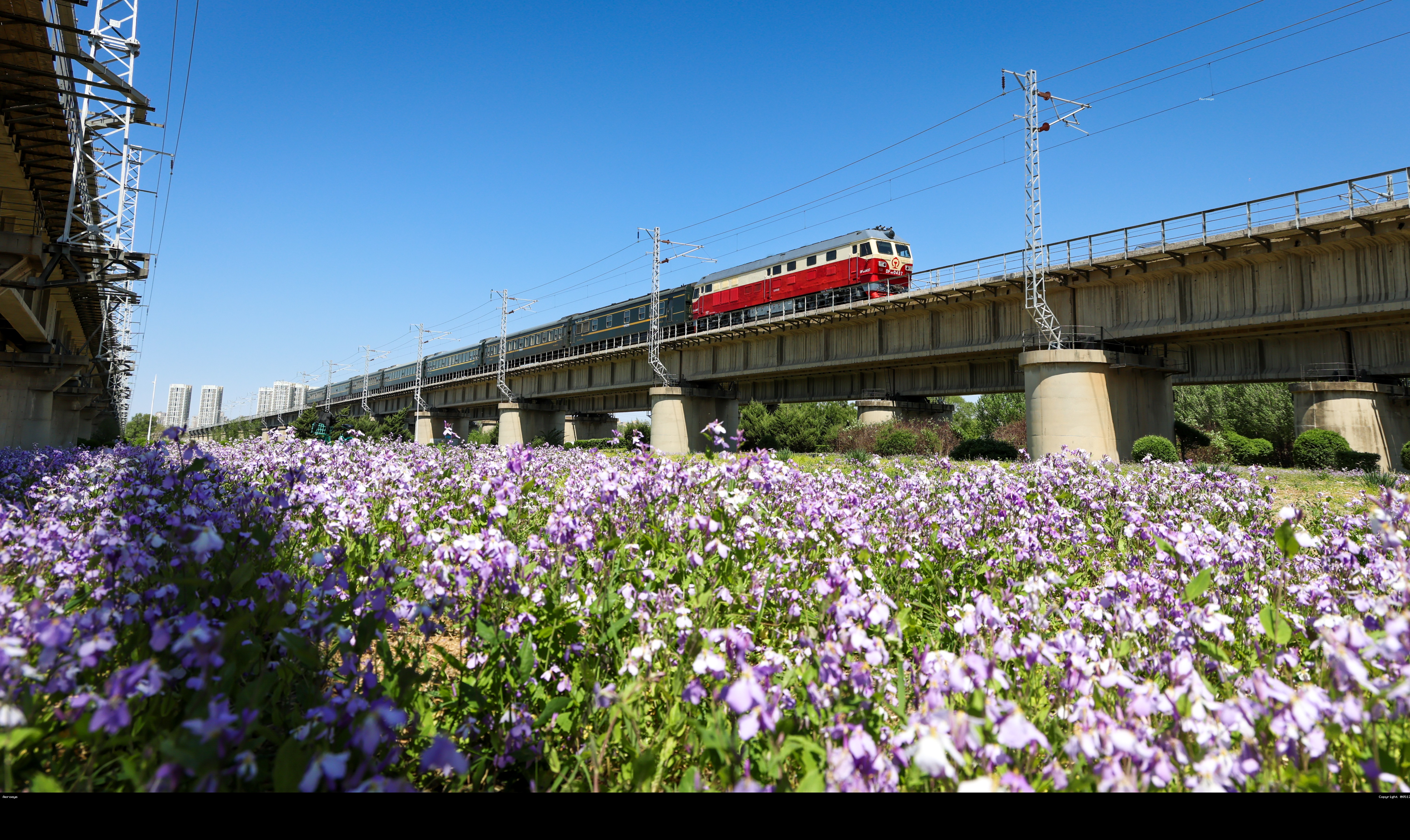 花海列车