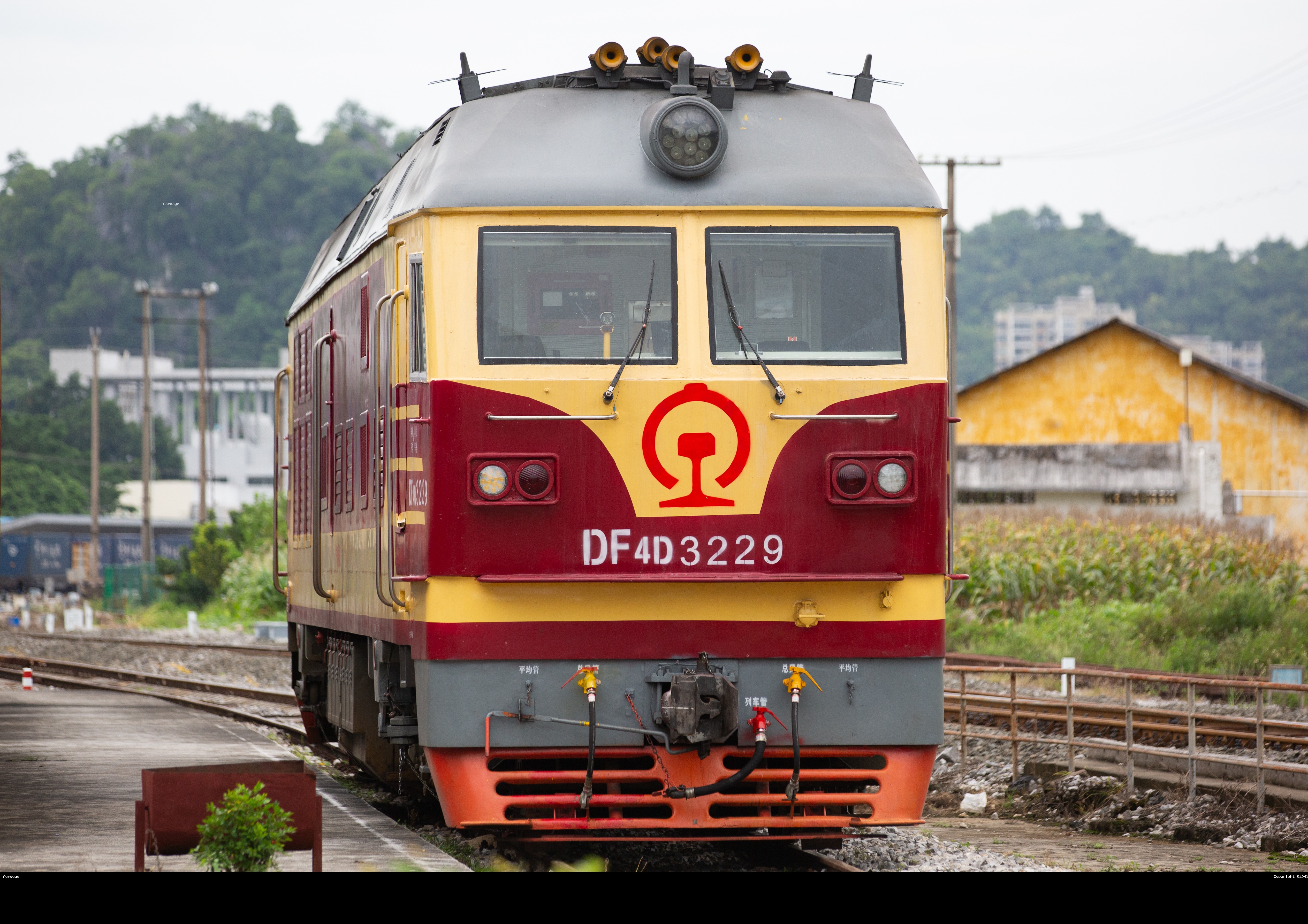 新刷3229