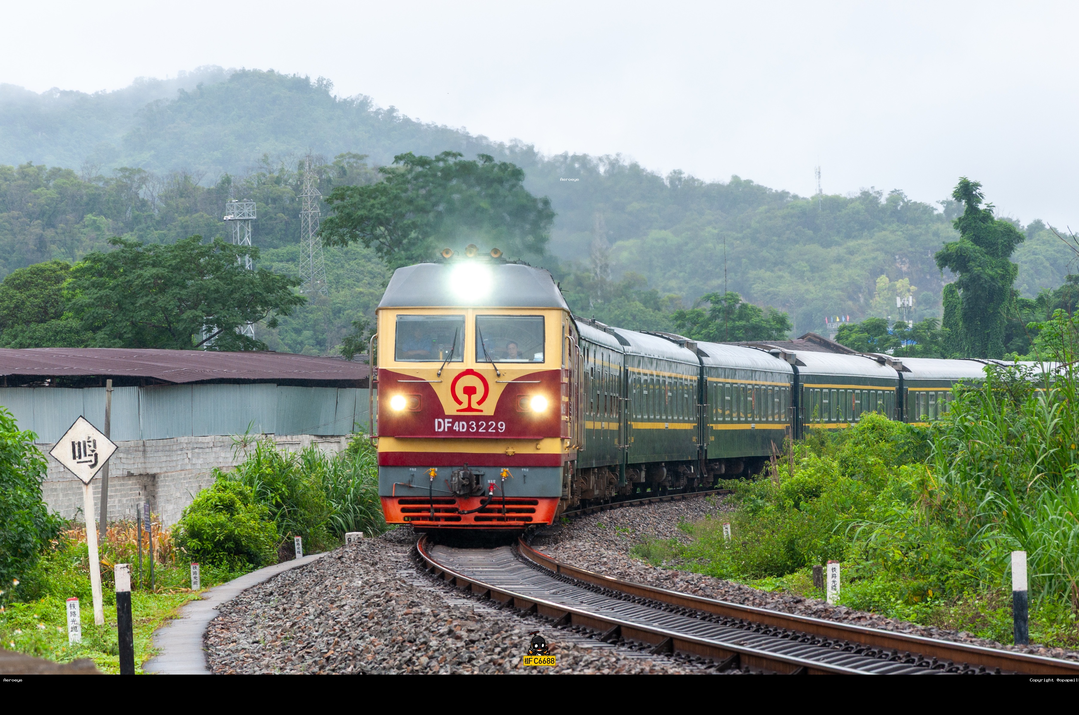DF4D-3229
