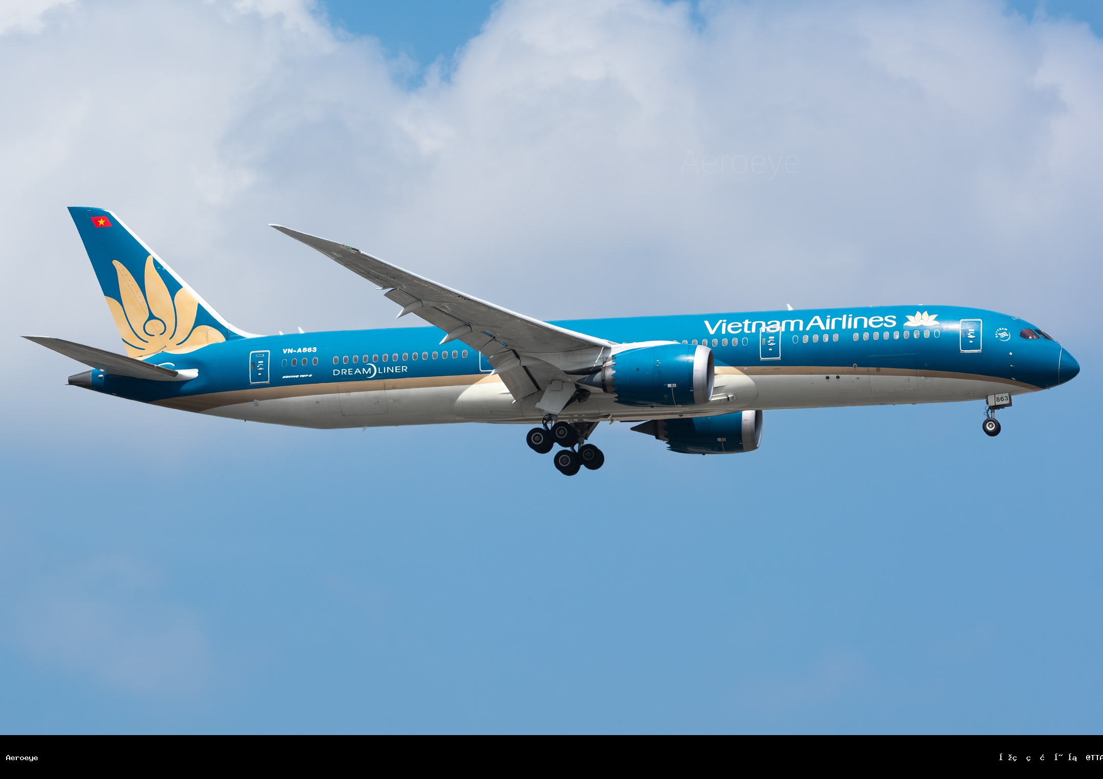 VN-A863