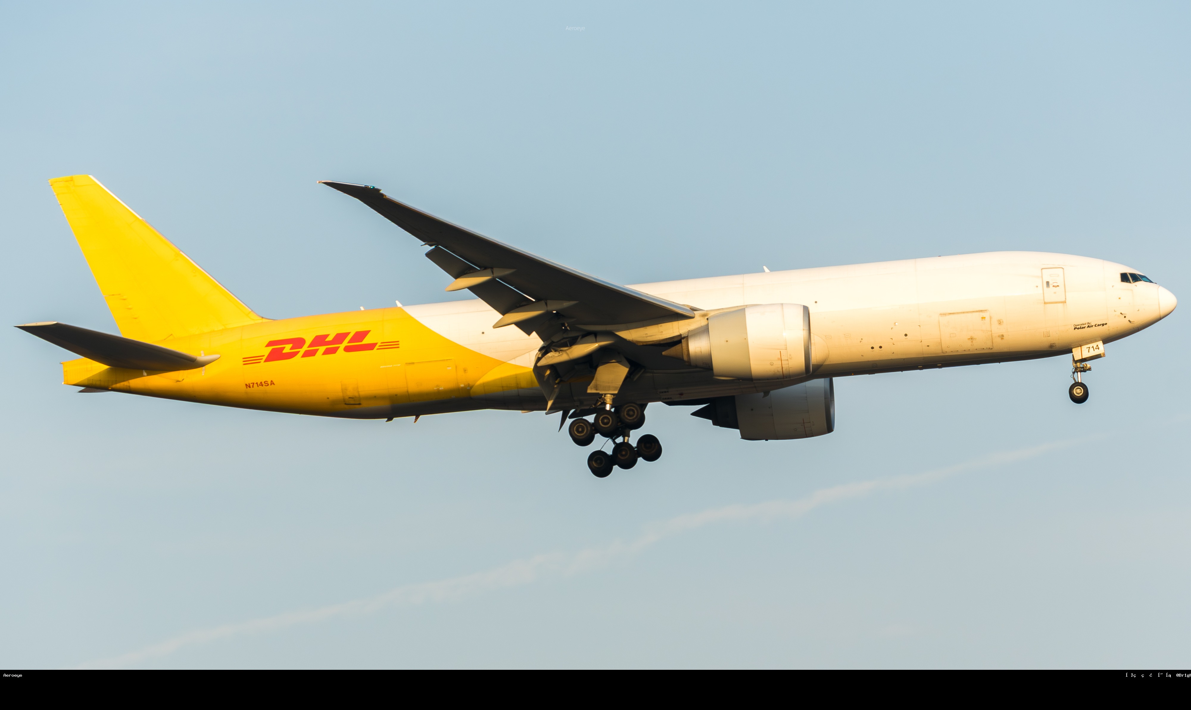 DHL777F