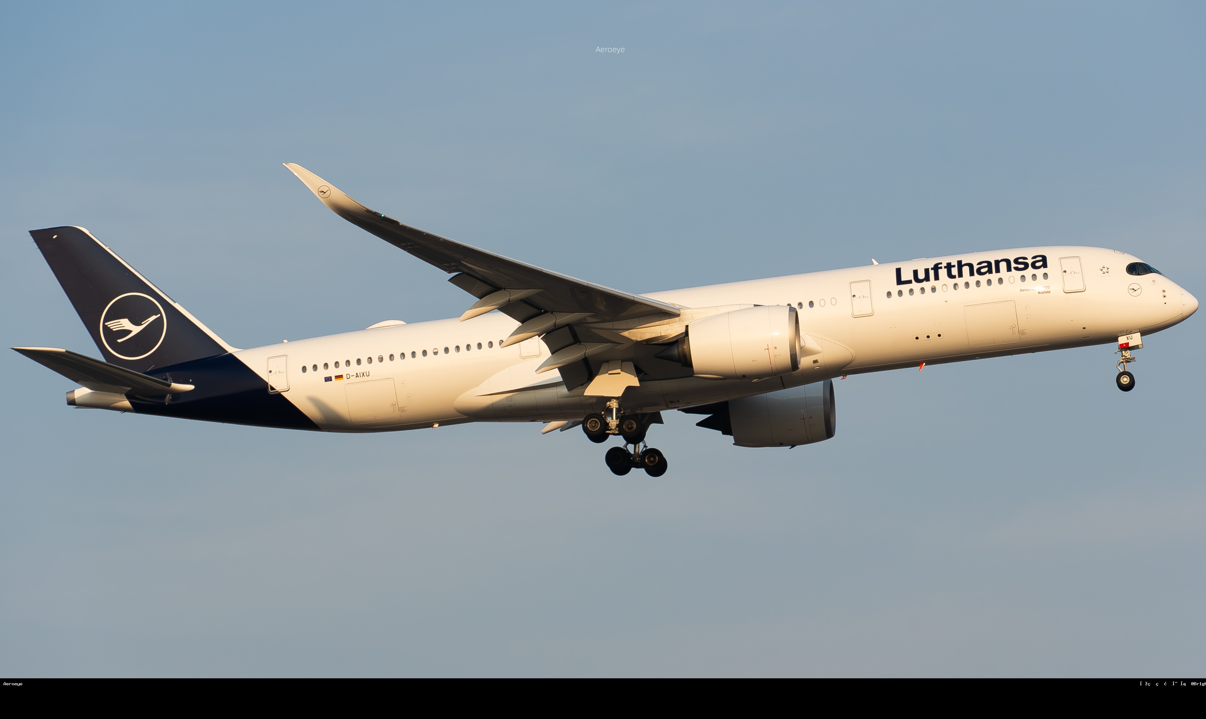 D-AIXU