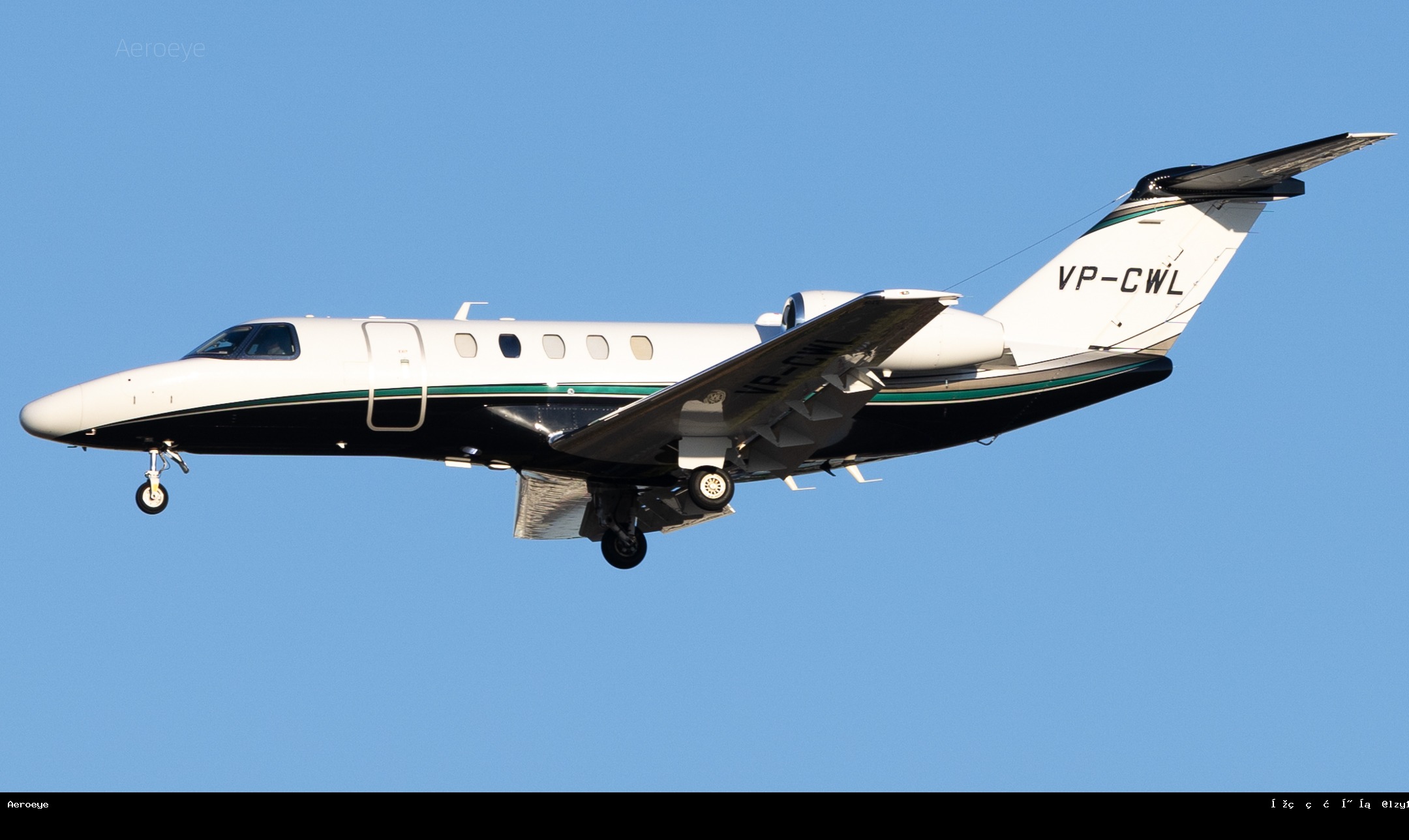 VP-CWL