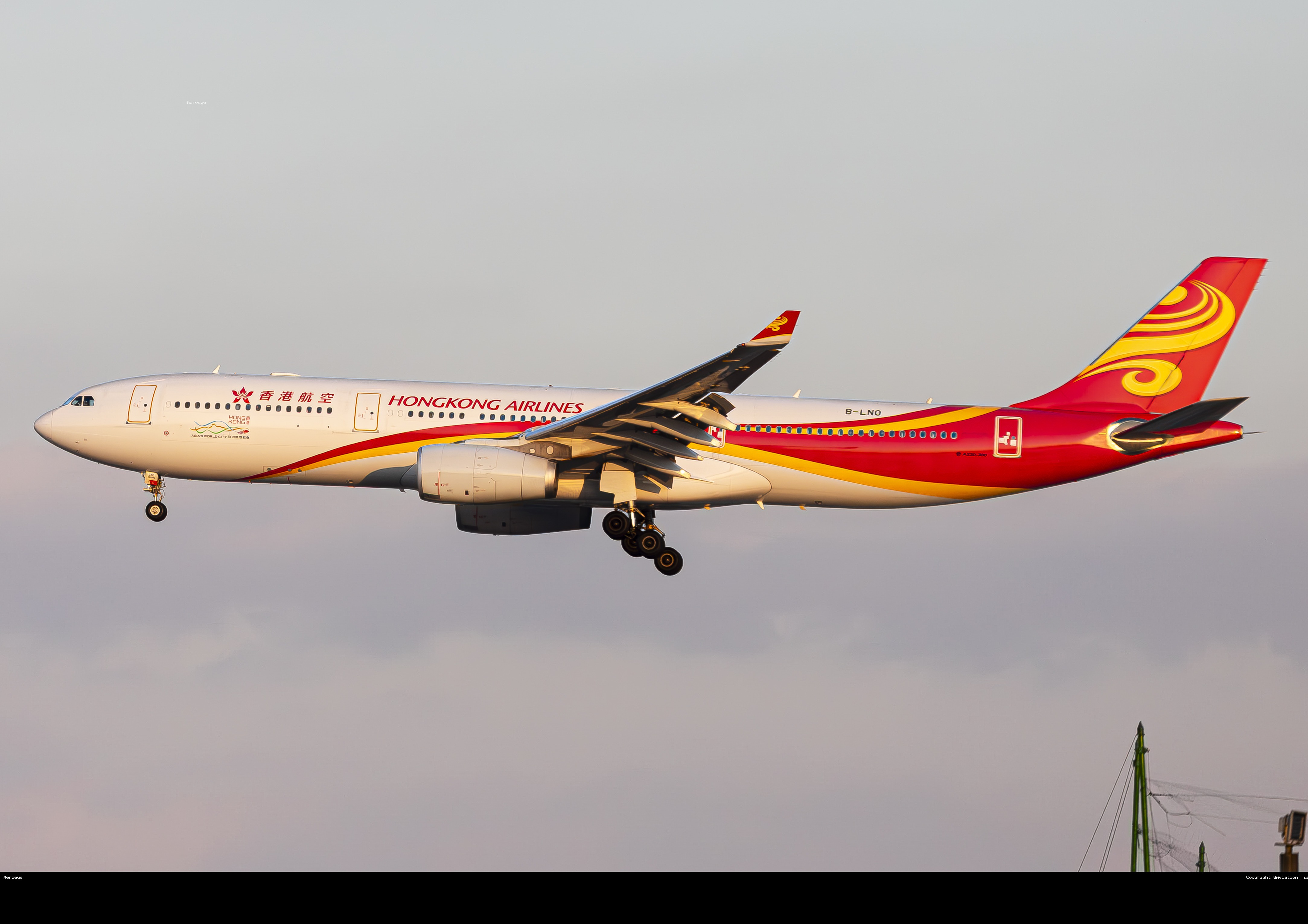 B- LNO