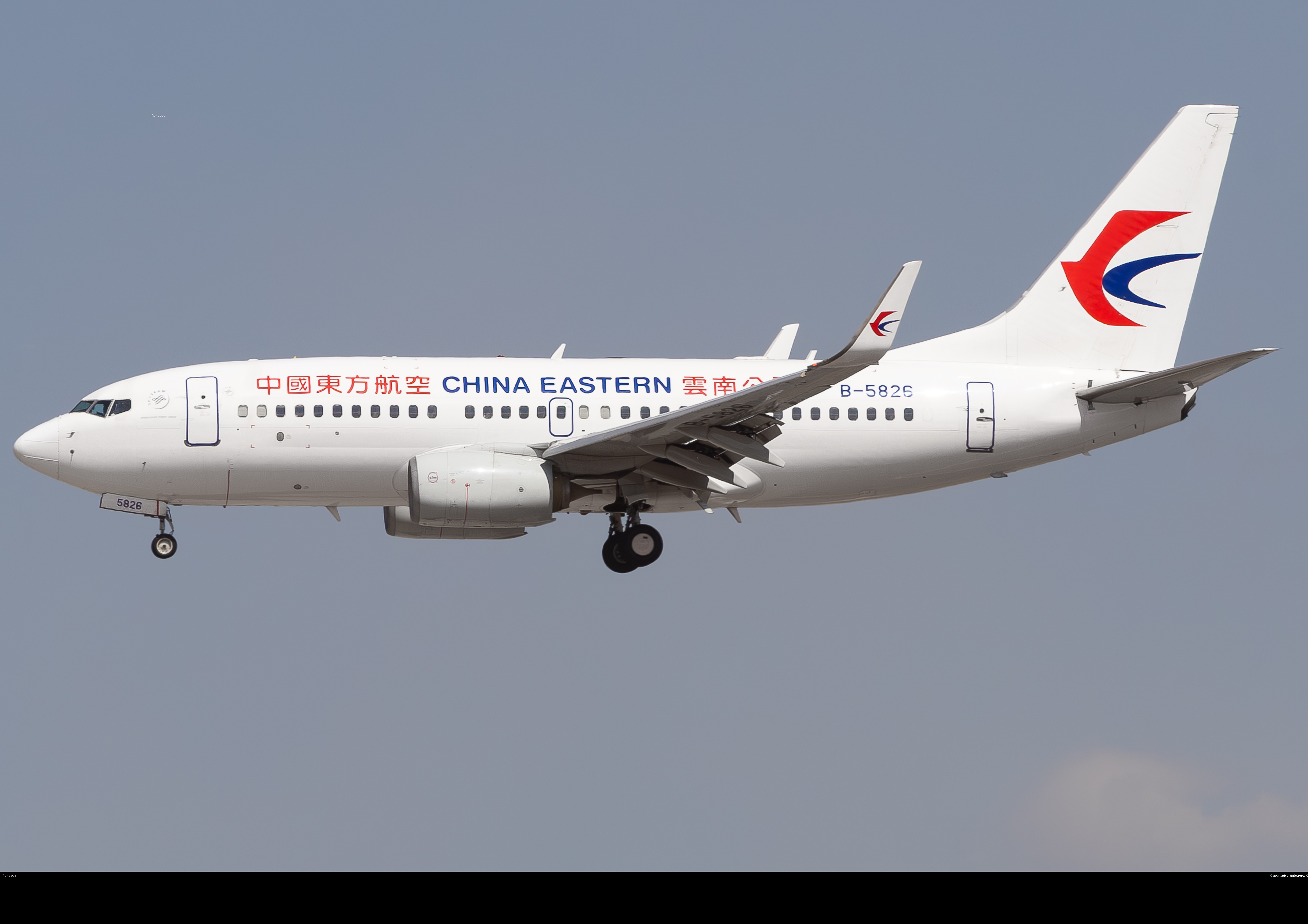 B-5826