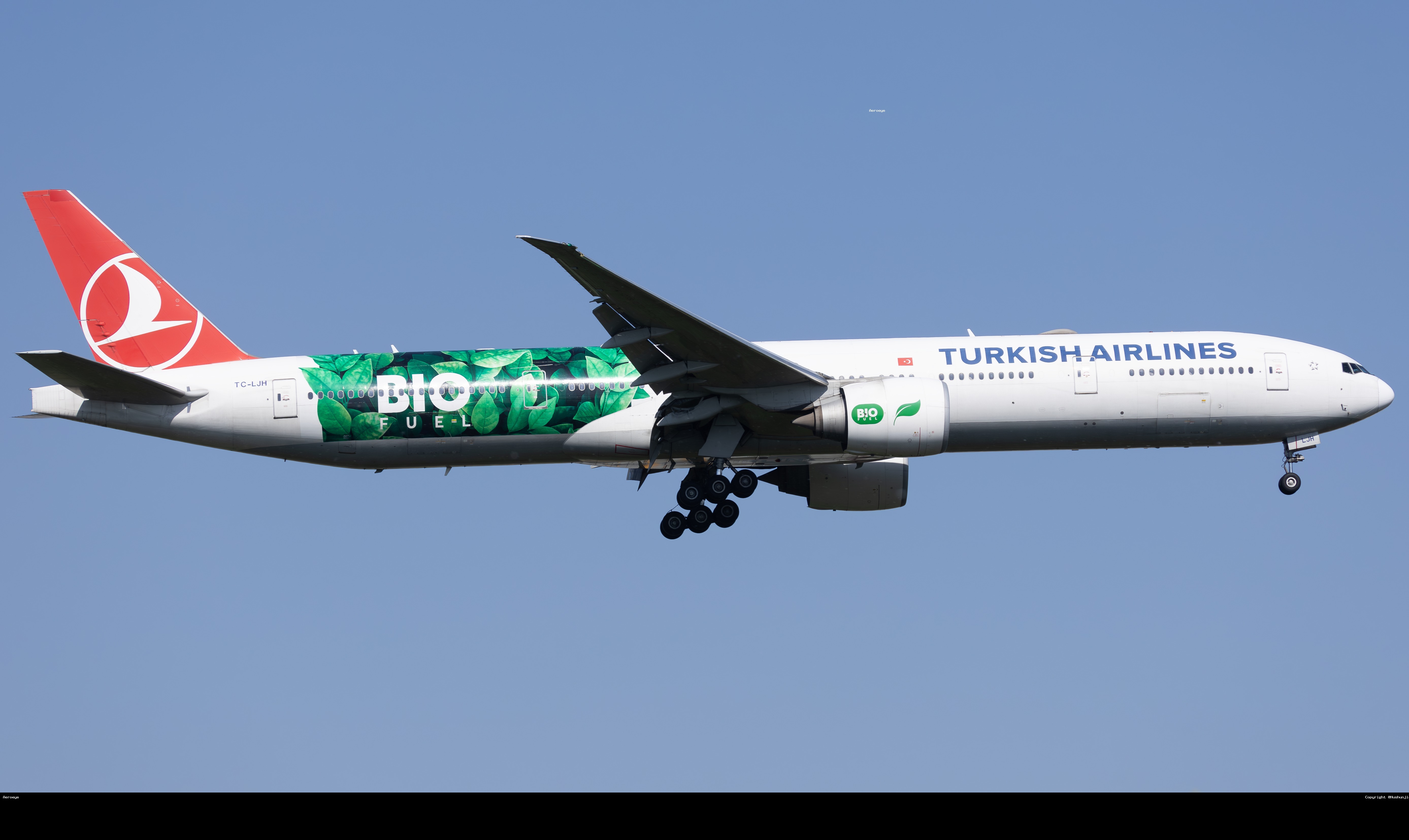 TC-LJH